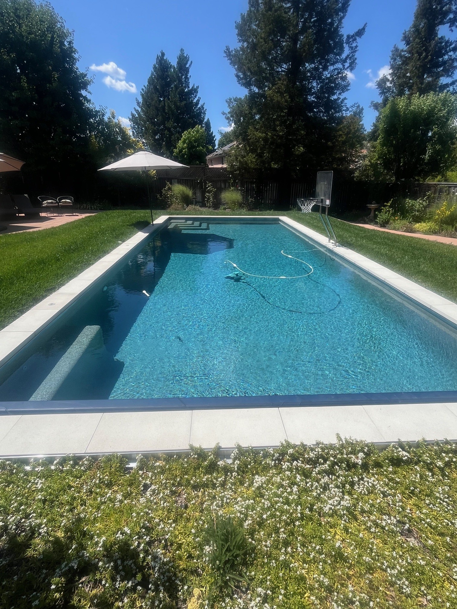 Pool Tile Cleaning in Santa Rosa CA