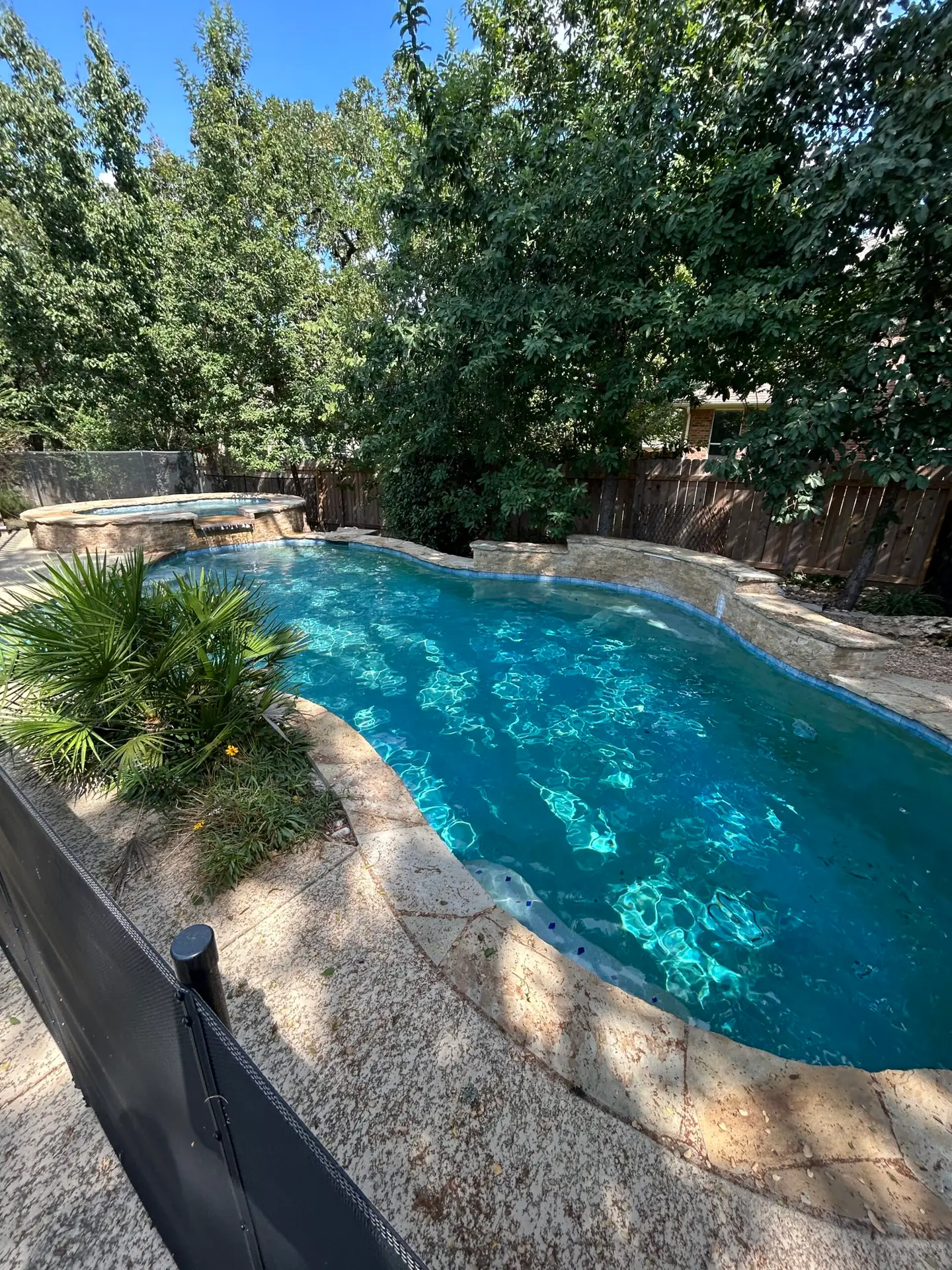 IMG1248-scaledjpeg - SWIMREADY Pool Service - SWIMREADY Pool Service A sunny backyard with a turquoise pool surrounded by stone coping and lush trees along a wooden fence.